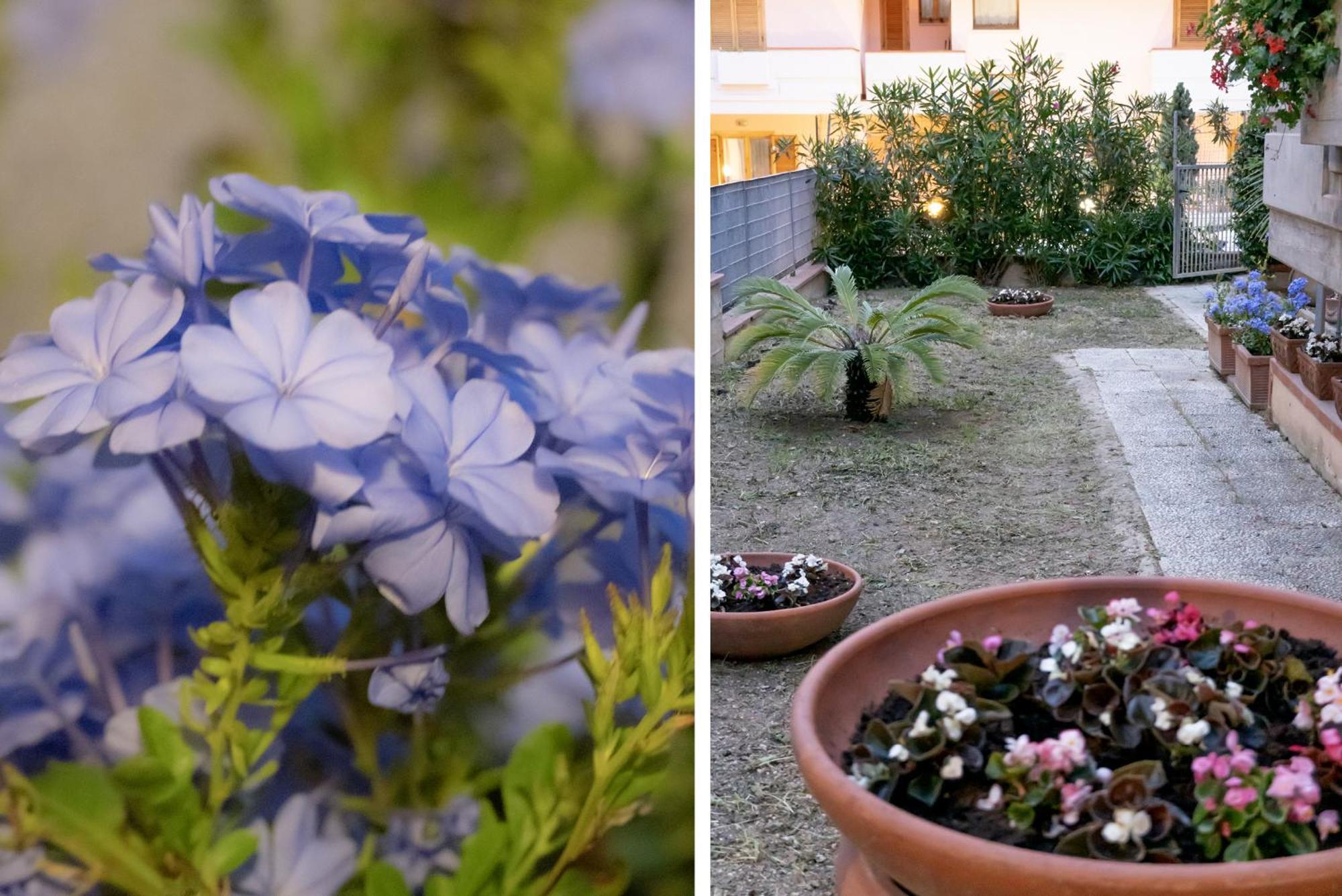 Il Giardino Apartment ชิวิตาโนวา มาร์เค ภายนอก รูปภาพ